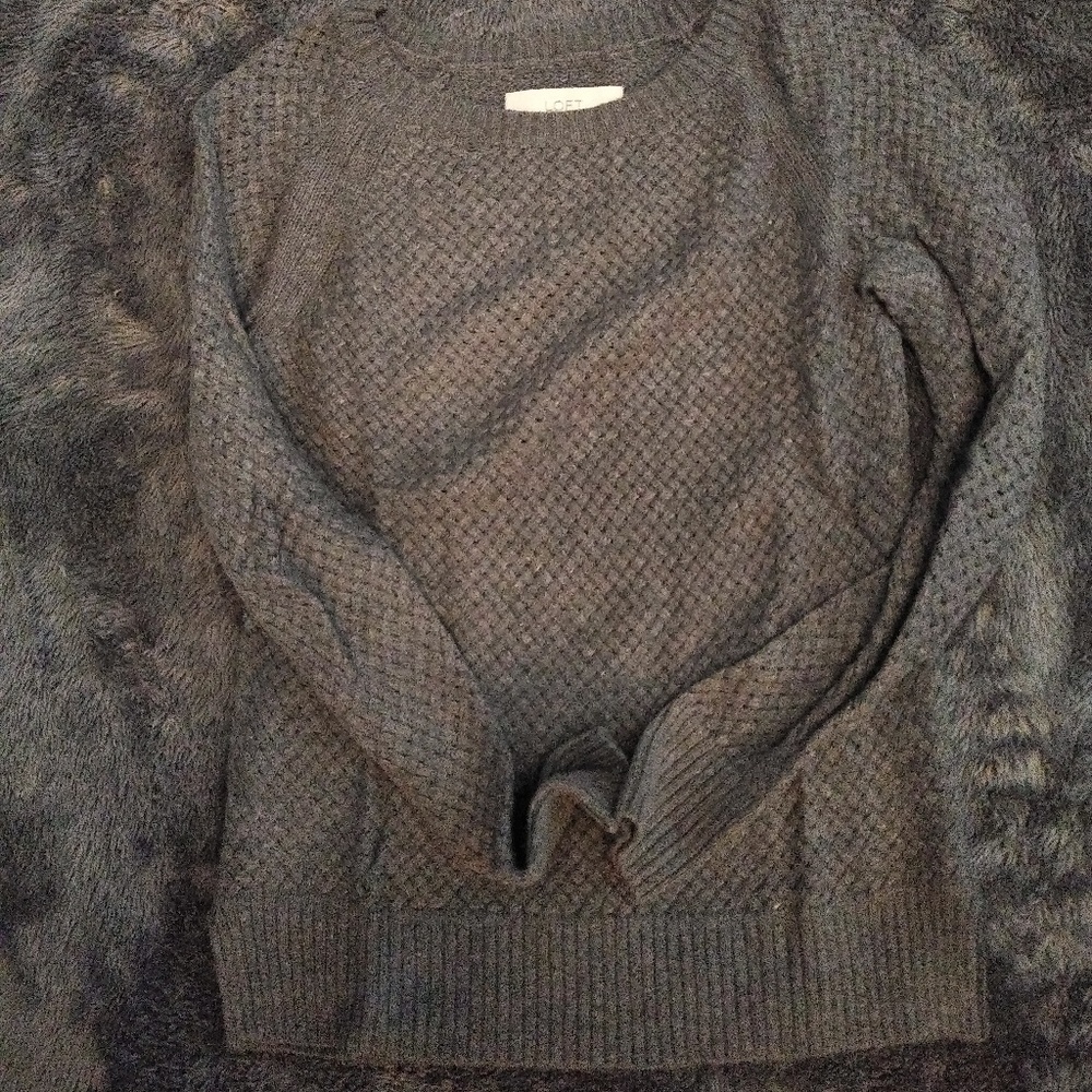 Cozy not real heavy Loft sweater.